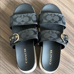 Coach Black and Gold Buckle Sandals